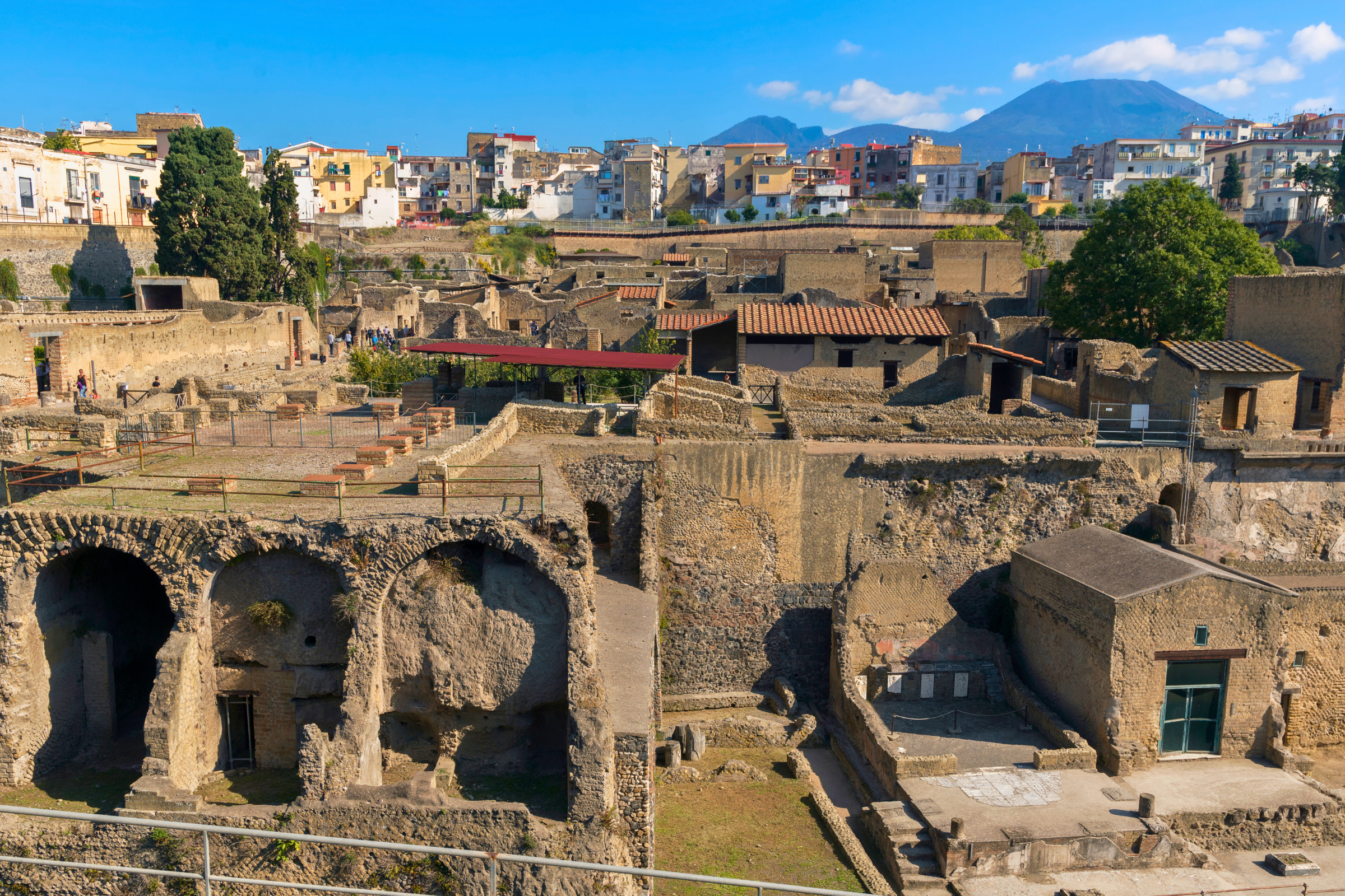 54 herculaneum.webp